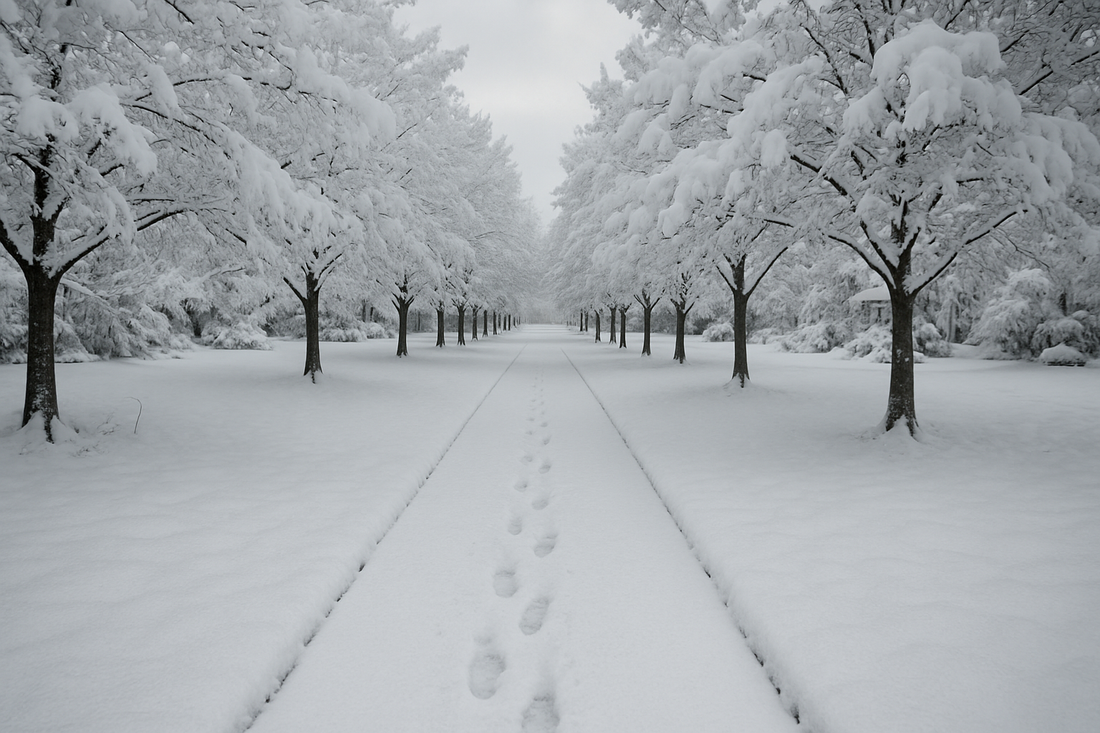 Winter Safety Tips for Seniors: Slips, Falls, and Staying Warm